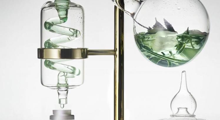 5 ingredientes de origen natural que arrasan en cosmética