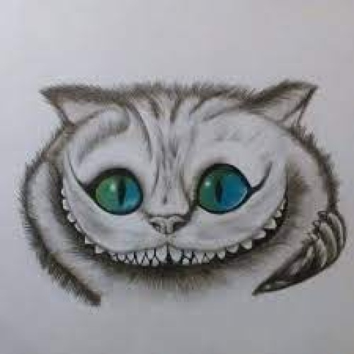gato-f8e28db48b1e32babca54a6e3bd93206.jpg